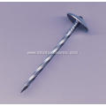 BWG9x2.5 inch Galvanized Roofing Nail